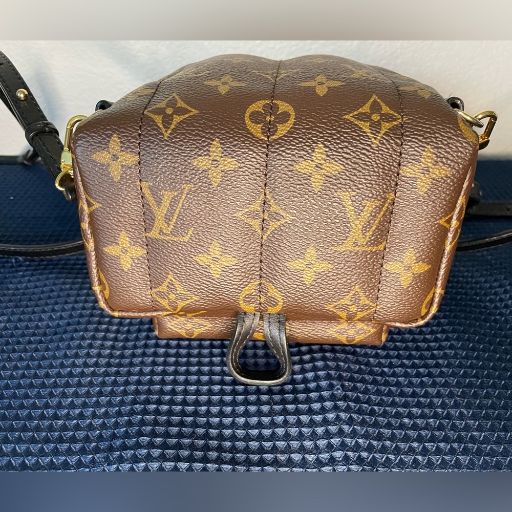 Louis Vuitton Palms Springs mini - Picture 8 of 15